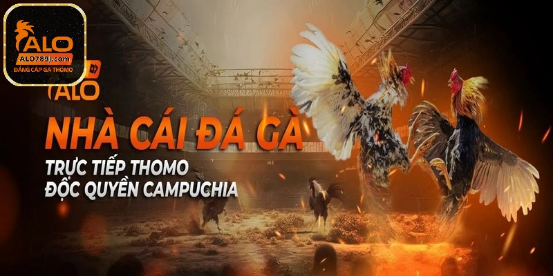 Chơi có trách nhiệm là gì? Những điều nên biết khi cá cược tại ALO789 2 Trung thực khi đăng ký tài khoản là một yếu tố quan trọng