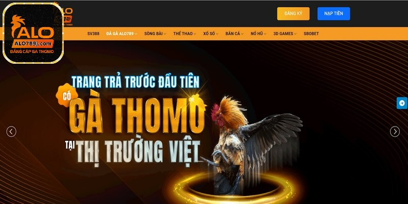 Đá gà cựa dao Philippines là sân chơi đẳng cấp được yêu thích số 1