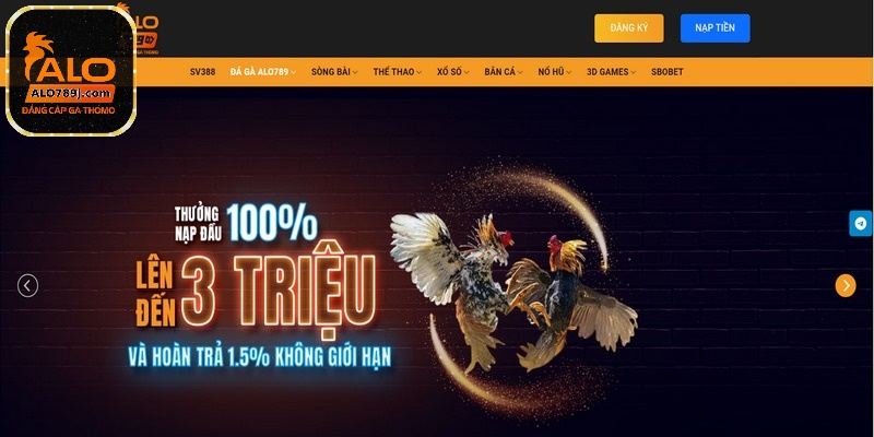 Đá gà cựa sắt là sự lựa chọn giải trí tuyệt vời đáng trải nghiệm
