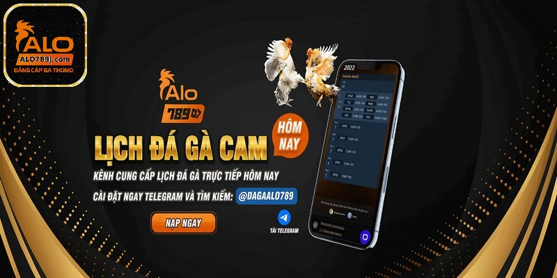 Đá gà cựa sắt sở hữu sức hút đặc biệt nhất hiện nay