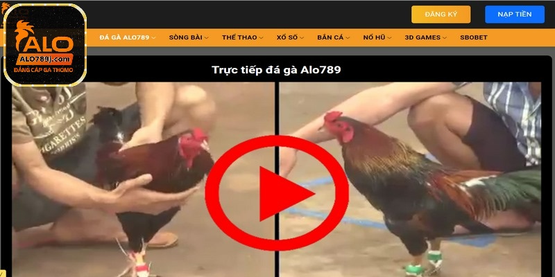 Giao dịch an toàn, miễn phí trên mọi nền tảng online