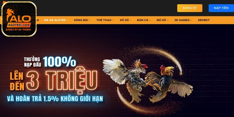 Đá gà trực tiếp Thomo 24/7 là sân chơi hoàn hảo cho mọi bet thủ 