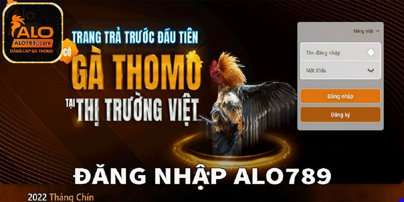 Những siêu phẩm giải trí mới trên thị trường luôn được Alo789 cập nhật