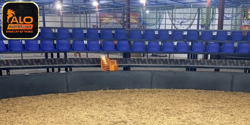 2 chủ kê sẽ trực tiếp đưa ra thống nhất cho các chú gà chiến thi đấu