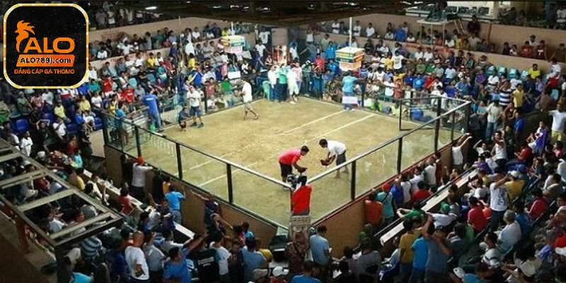 Quy định thời gian đá gà mỗi trận trong trường gà Savan là 15 phút