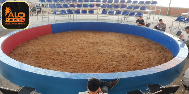 Sư kê có thể theo dõi các trận đấu diễn ra tại trường gà qua Alo789